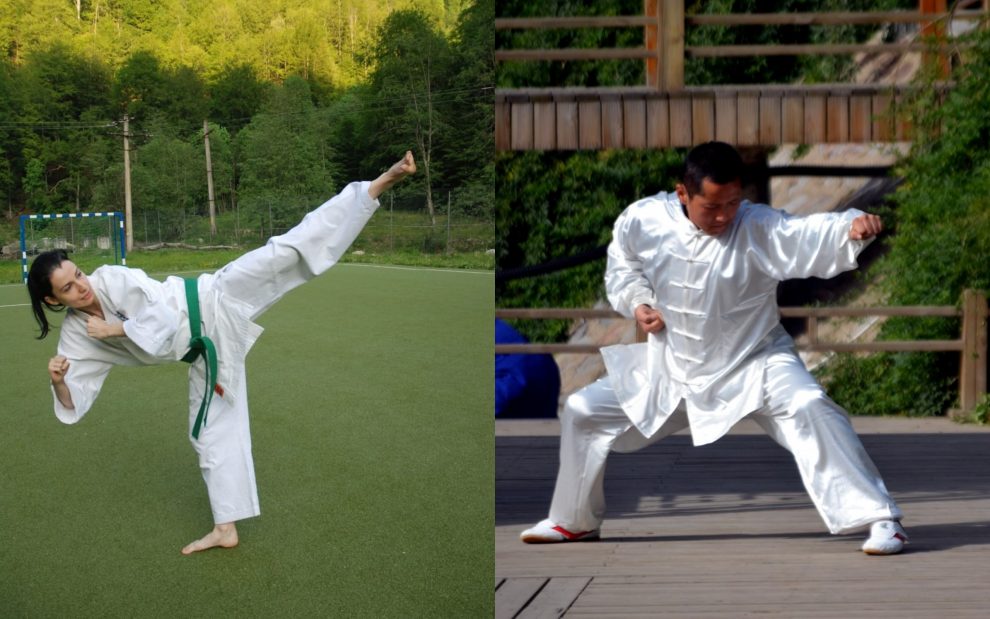 Diferencias entre karate y kung fu - Hay Diferencia