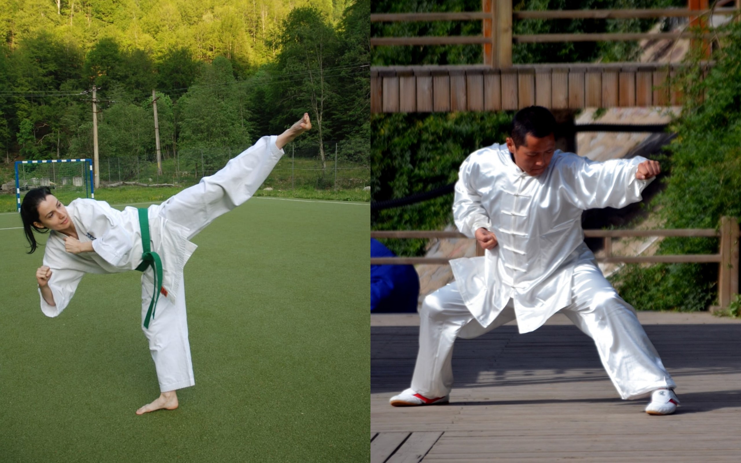 karate-kung fu - Hay Diferencia